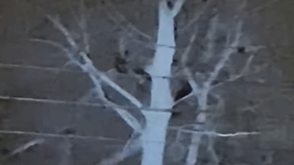 Cincinnati police say they are investigating reports from residents claiming they saw five...