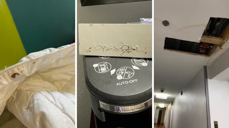 Hotel guests submitted these pictures to WMBF News of the conditions at certain Grand Strand...