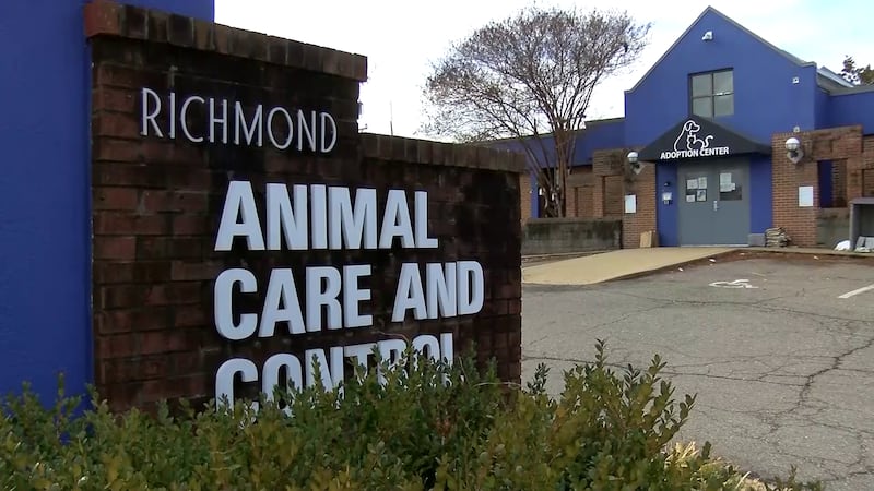 Officials are searching for whoever is responsible for leaving a pit bull tied up in a garbage...