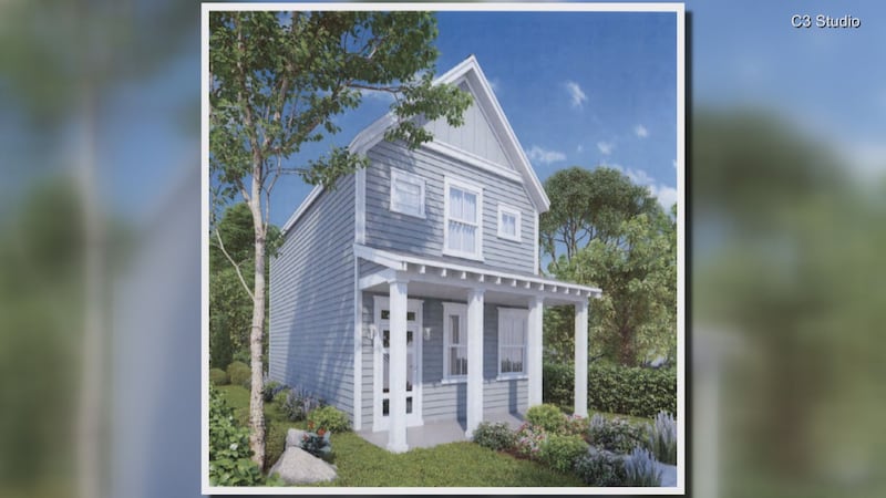 This is what some of the tiny homes would look like.