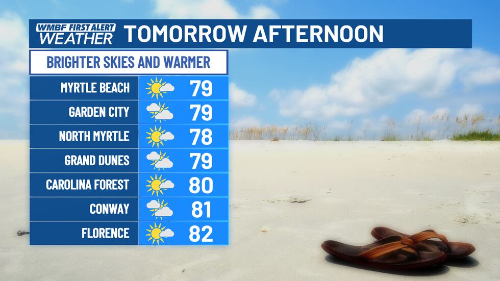 Gradually increasing sunshine and warmer.