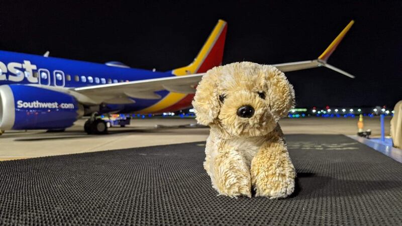 Southwest Airlines Helps Return Stuffed Animal to Young Passenger
