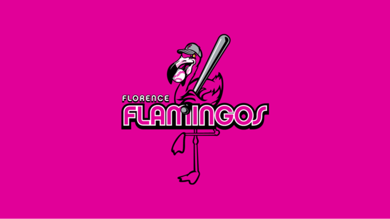 Florence Flamingos