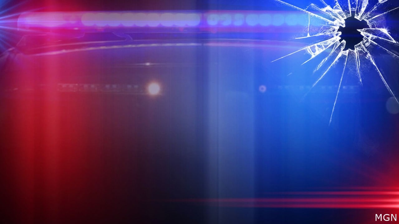 Argument leads to shots fired in Myrtle Beach; 1 in custody, police say - Vimarsana News