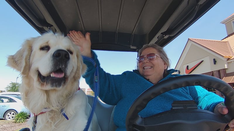 Suzanne waves to people while driving around Tanger Outlets with Tank sitting next to her....