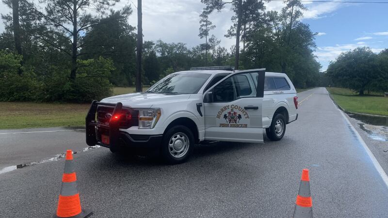 HCFR: Large, downed tree blocks Nichols-area road