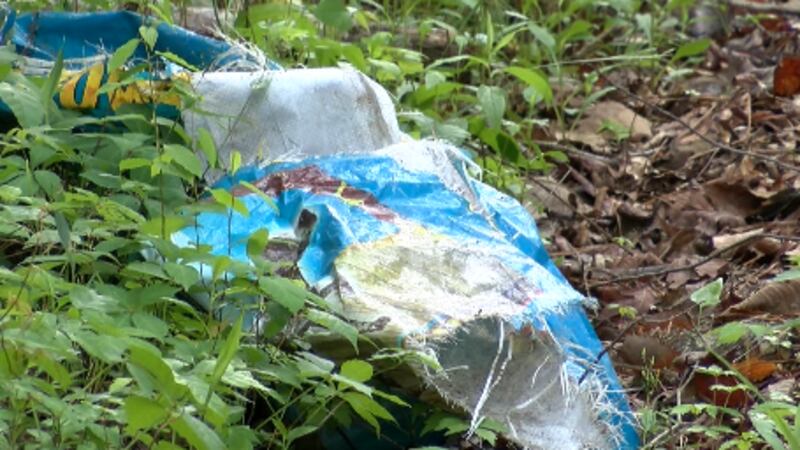 Authorities are investigating following a grisly discovery along a South Carolina road where...
