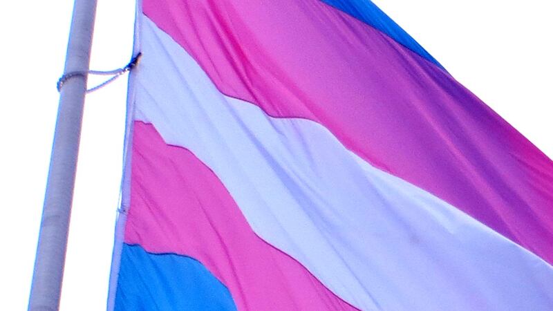 Transgender Flag generic photo.
