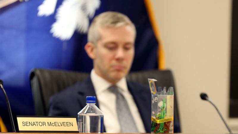 A Venus fly trap sits in front of a South Carolina Senate subcommittee discussing a bill to...