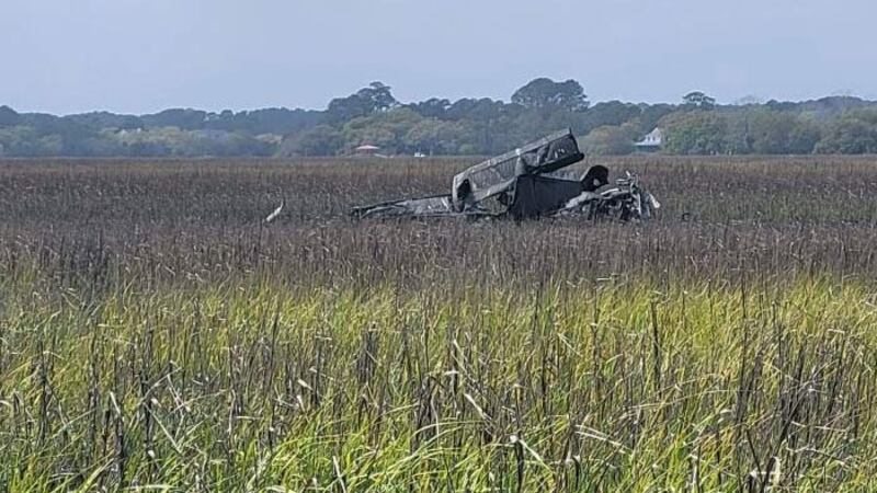 It was a small plane that crash into a marsh area near the Stono River between James and Johns...