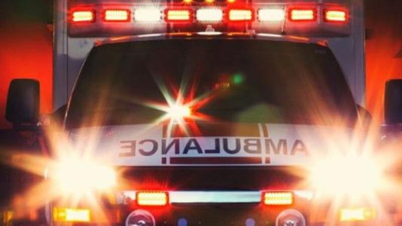 Two young children were injured after being bitten by a dog Thursday in Bennettsville,...