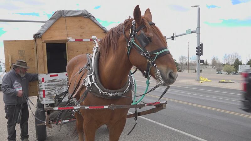 Lee the horselogger made his way through Cheyenne, Wyoming, on his way to Boston,...